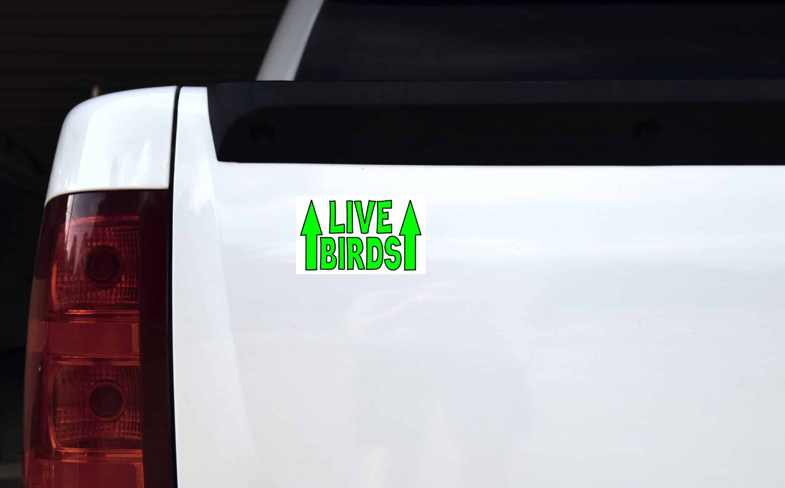 5in x 3in Live Birds Sticker Vinyl Animal Sign Decal Animal Cage Stickers - Image 4