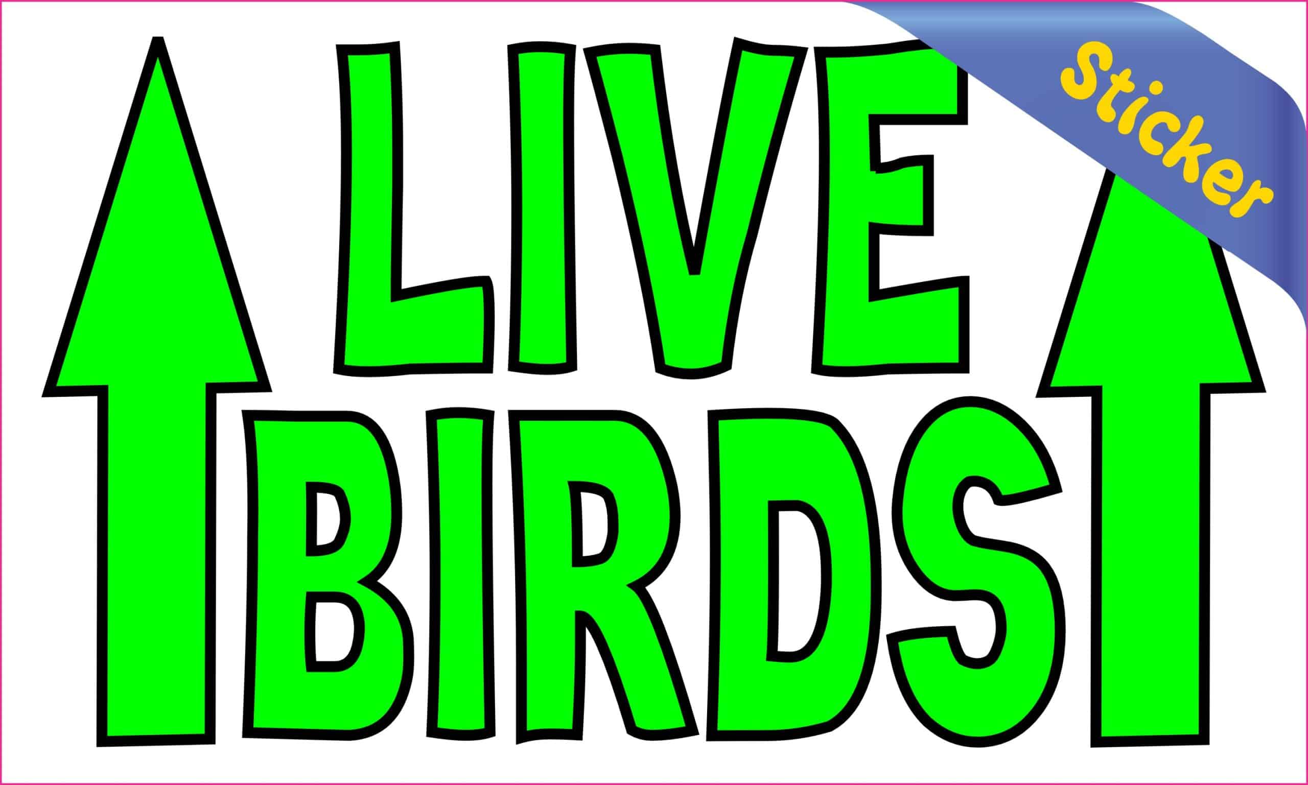 5in x 3in Live Birds Sticker Vinyl Animal Sign Decal Animal Cage Stickers - Image 2