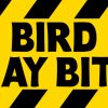 Bird May Bite