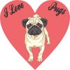 I Love Pugs Bumper Sticker