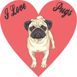 I Love Pugs Bumper Sticker