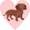 dachshund heart bumper sticker