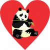 Panda Heart bumper sticker