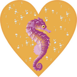 Seahorse Heart bumper sticker