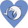 Dolphin heart bumper sticker