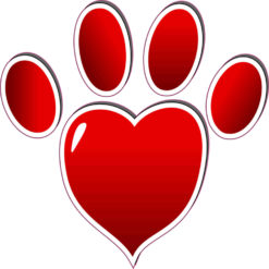 Red Heart Paw Print Bumper Sticker