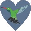 Hummingbird Heart bumper sticker