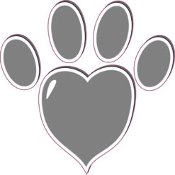 Gray Heart Paw Print Bumper Sticker