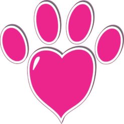 Pink Heart Paw Print Bumper Sticker