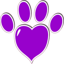 Purple Heart Paw Print Bumper Sticker