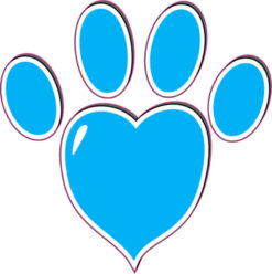 Turquoise Heart Paw Print Bumper Sticker