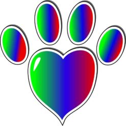 paw print bumper sticker