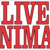 Live Animal Magnet