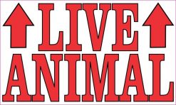 Live Animal Magnet