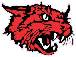wildcat mascot sticker