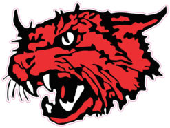 wildcat mascot sticker