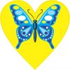 blue butterfly heart bumper sticker
