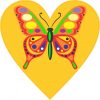 orange butterfly heart bumper sticker