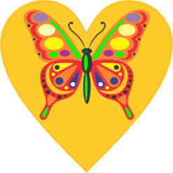 orange butterfly heart bumper sticker