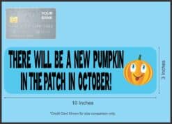 10in x 3in Blue New Pumpkin the Patch Baby Bumper Sticker Vinyl Decal