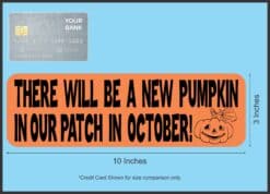 10in x 3in New Pumpkin Our Patch Baby Bumper Sticker Vinyl Stickers
