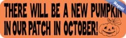 10in x 3in New Pumpkin Our Patch Baby Magnet Magnetic Bumper Magnets