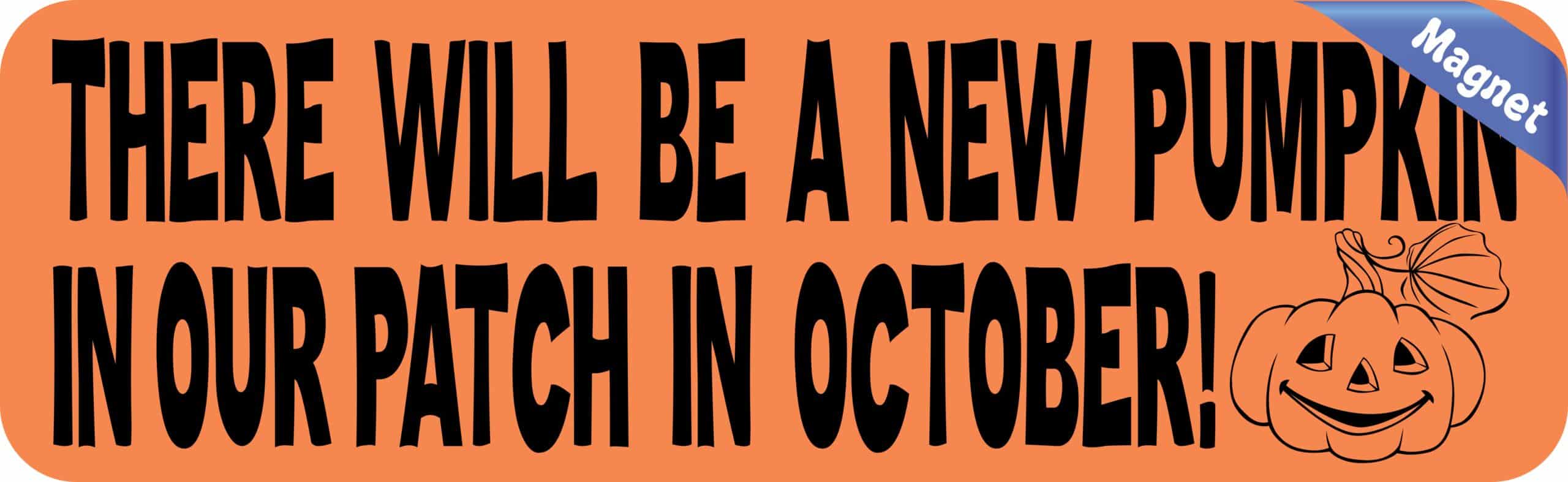 10in x 3in New Pumpkin Our Patch Baby Magnet Magnetic Bumper Magnets