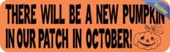 10in x 3in New Pumpkin Our Patch Baby Bumper Sticker Vinyl Stickers