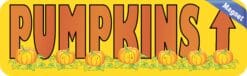 10in x 3in Pumpkins Ahead Thanksgiving Magnet Magnetic Holiday Bumper Magnets