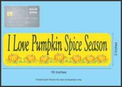 10in x 3in Pumpkin Spice Magnet Magnetic Autumn Vehicle Bumper Magnets