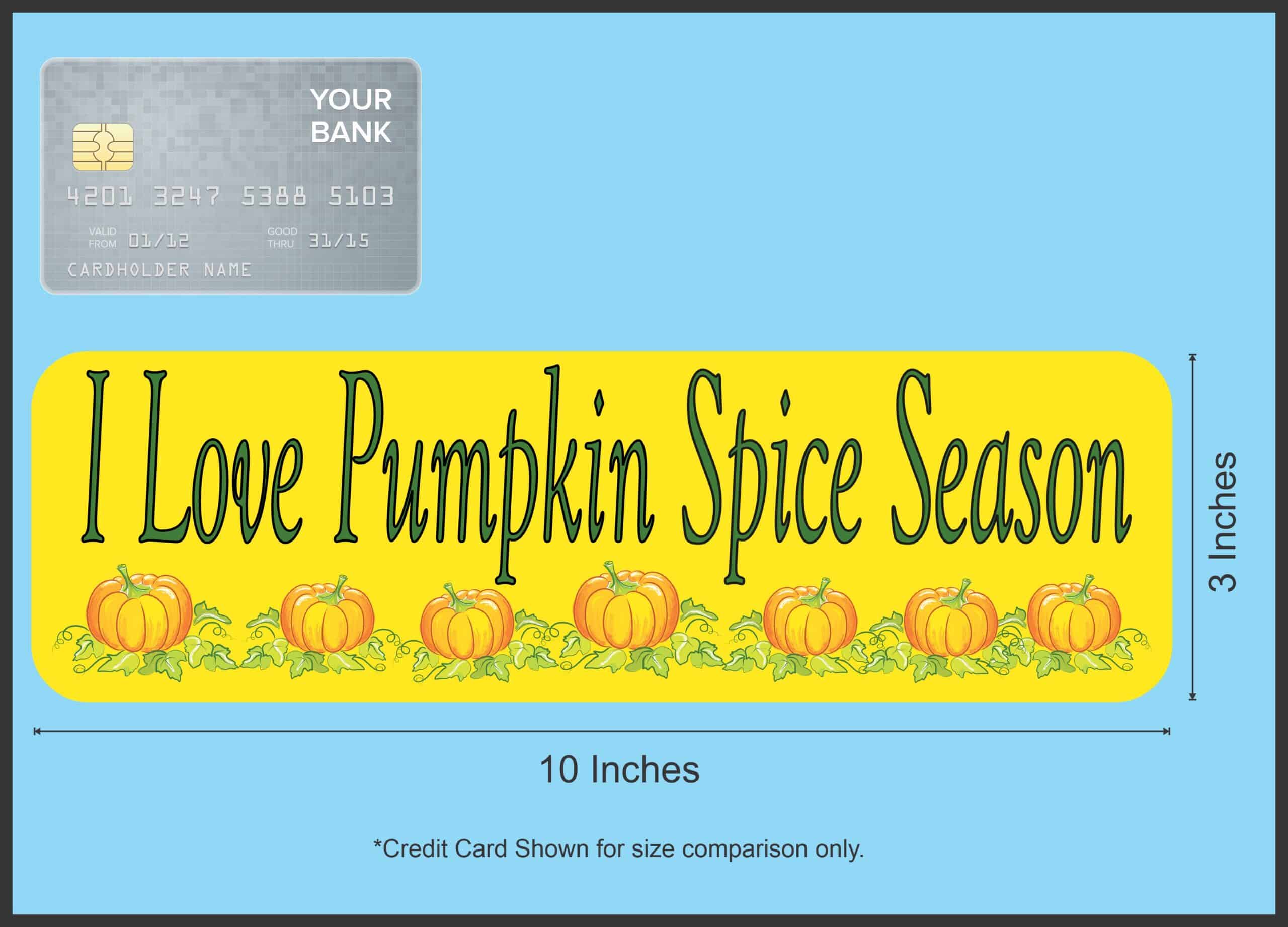 10in x 3in Pumpkin Spice Magnet Magnetic Autumn Vehicle Bumper Magnets