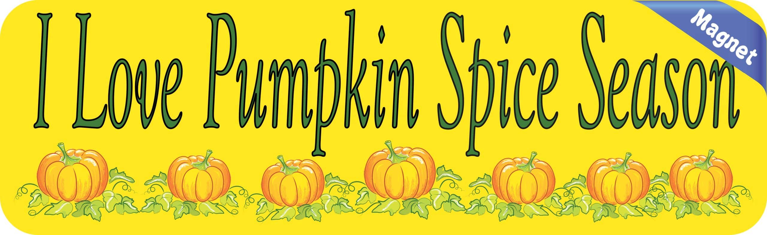 10in x 3in Pumpkin Spice Magnet Magnetic Autumn Vehicle Bumper Magnets