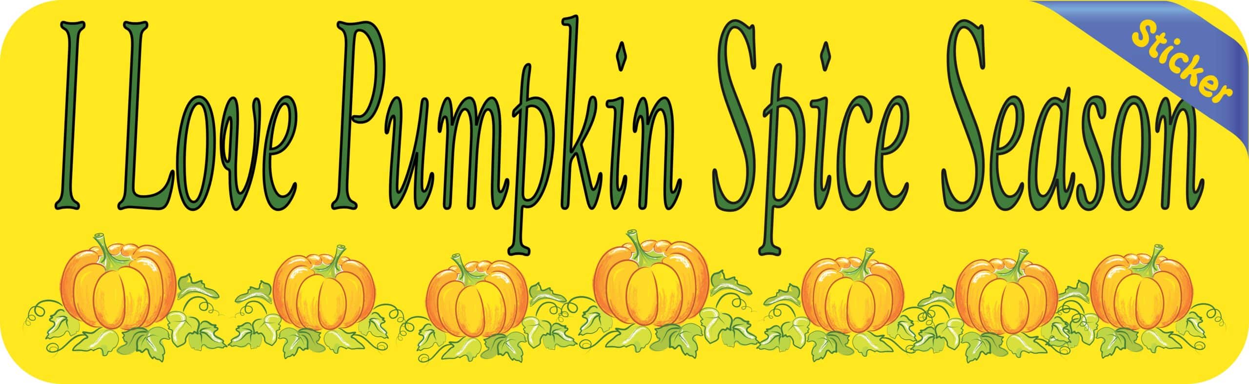 10in x 3in Pumpkin Spice Bumper Sticker Vinyl Autumn Car Decal Stickers
