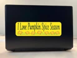10in x 3in Pumpkin Spice Bumper Sticker Vinyl Autumn Car Decal Stickers