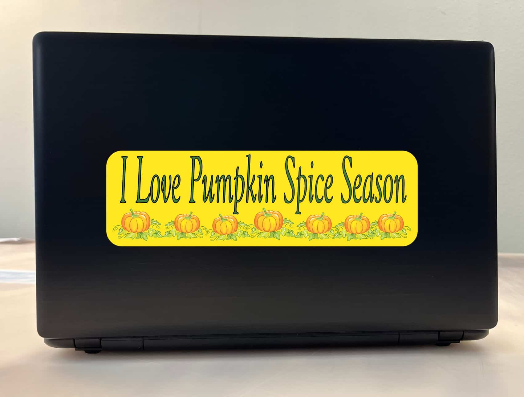 10in x 3in Pumpkin Spice Bumper Sticker Vinyl Autumn Car Decal Stickers
