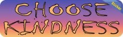 10in x 3in Faded Purple Choose Kindness Bumper Sticker Vinyl Stickers Decal