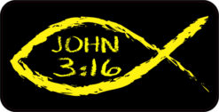 Christian fish bumper
