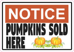 pumpkins sold here