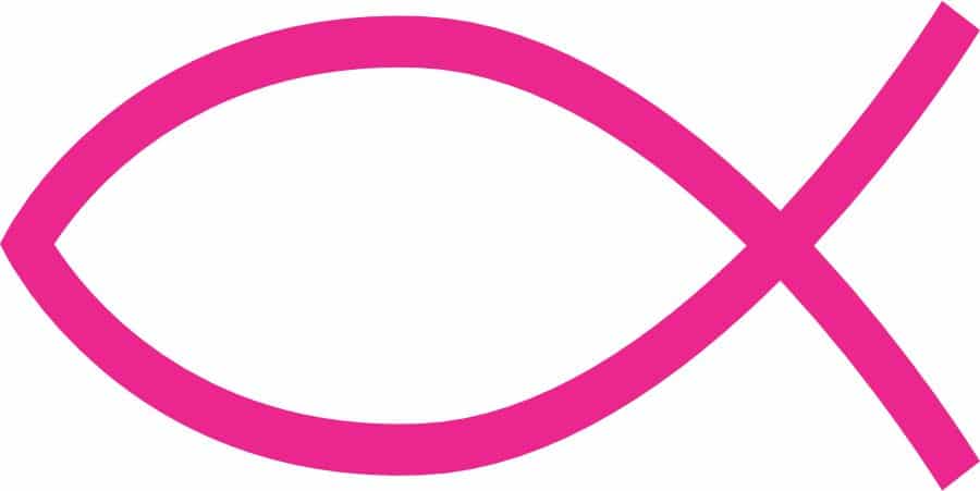 3 x 1.5 Pink Christian Fish Sticker Vinyl Cup Stickers Car Bump
