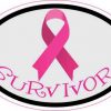 breast cancer survivor sticker
