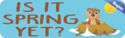 10in x 3in Is It Spring Yet Groundhog Day Magnet Magnetic Holiday Bumper Sign
