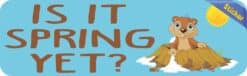 10in x 3in Is It Spring Yet Groundhog Day Bumper Sticker Vinyl Holiday Decal