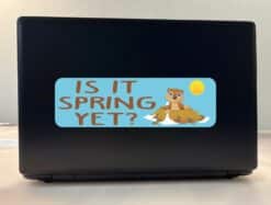 10in x 3in Is It Spring Yet Groundhog Day Bumper Sticker Vinyl Holiday Decal