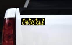 10in x 3in Chicks Rule Bumper Sticker Vinyl Funny Animal Decal Stickers
