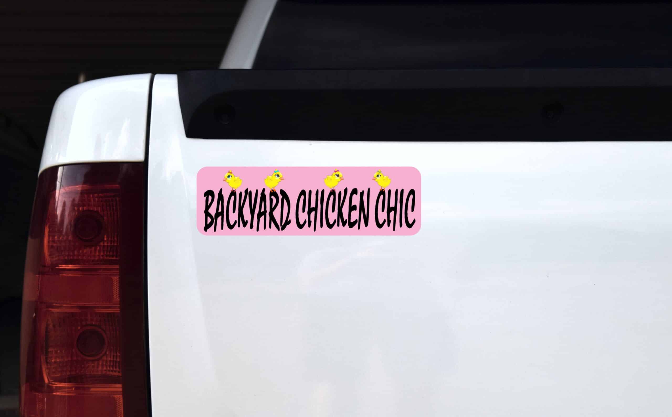 10in x 3in Backyard Chicken Chic Magnet Magnetic Animal Bumper Magnets