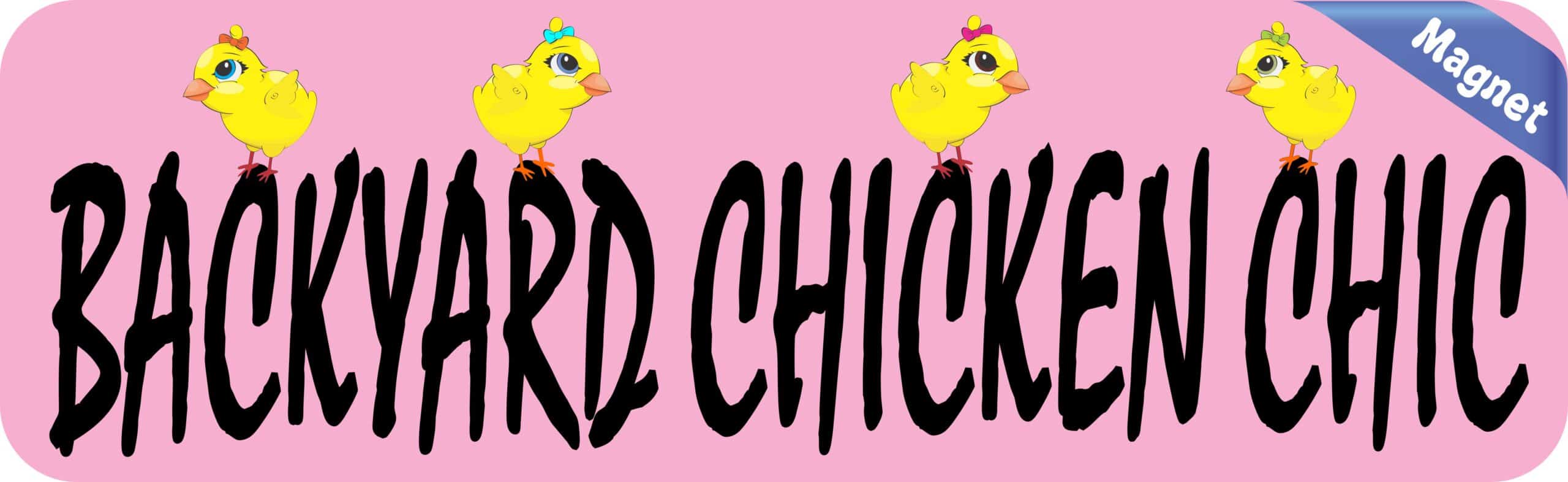 10in x 3in Backyard Chicken Chic Magnet Magnetic Animal Bumper Magnets