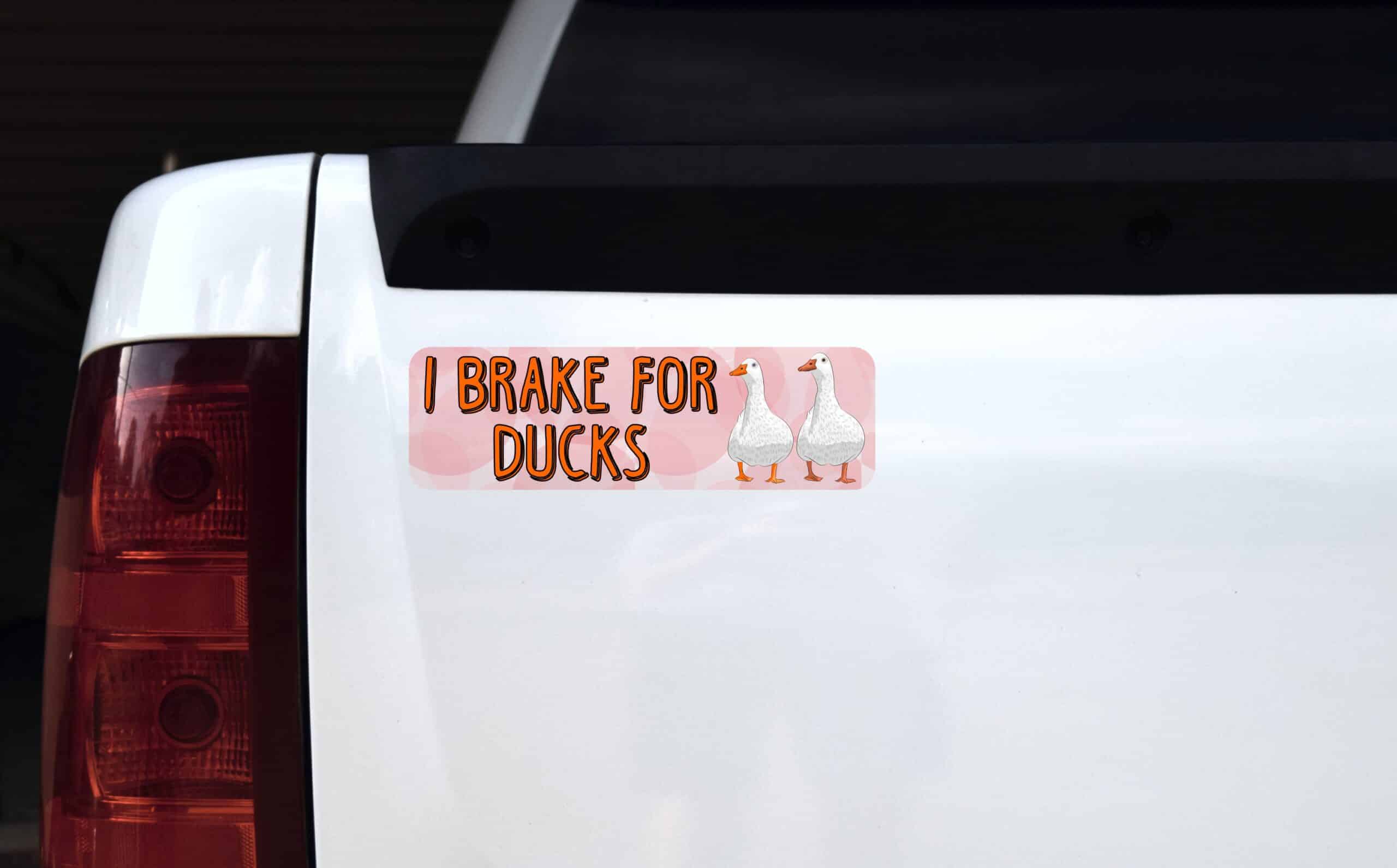 10in x 3in I Brake For Ducks Magnet Magnetic Animal Vehicle Bumper Magnets