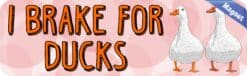 10in x 3in I Brake For Ducks Magnet Magnetic Animal Vehicle Bumper Magnets
