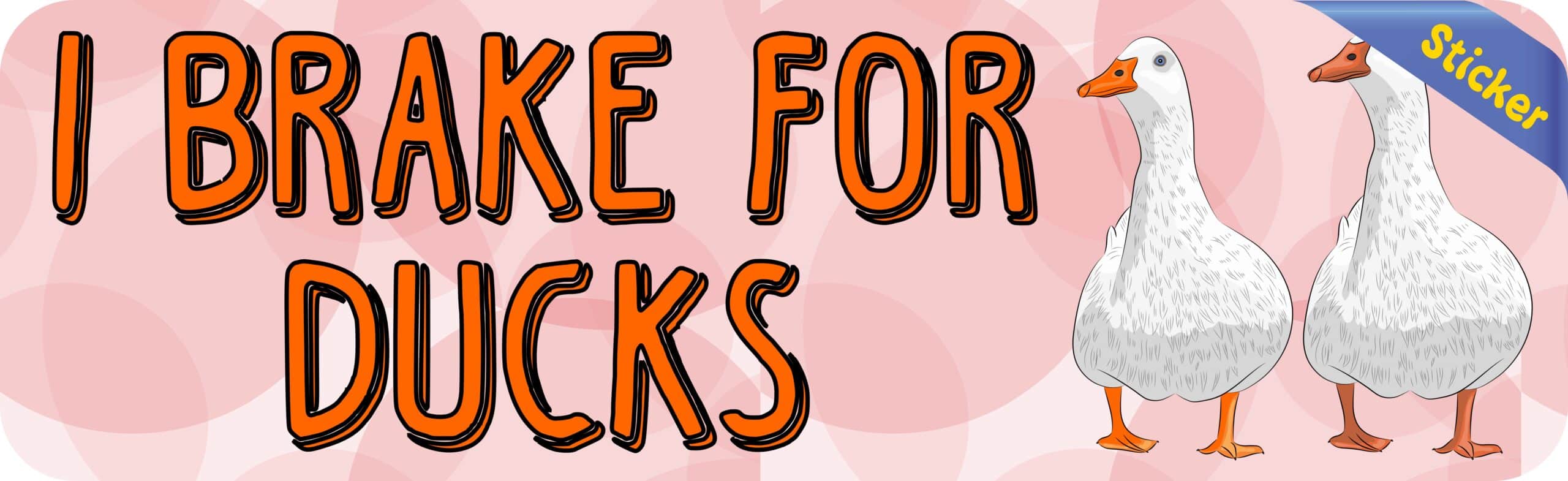 10in x 3in I Brake For Ducks Bumper Sticker Vinyl Animal Vehicle Stickers