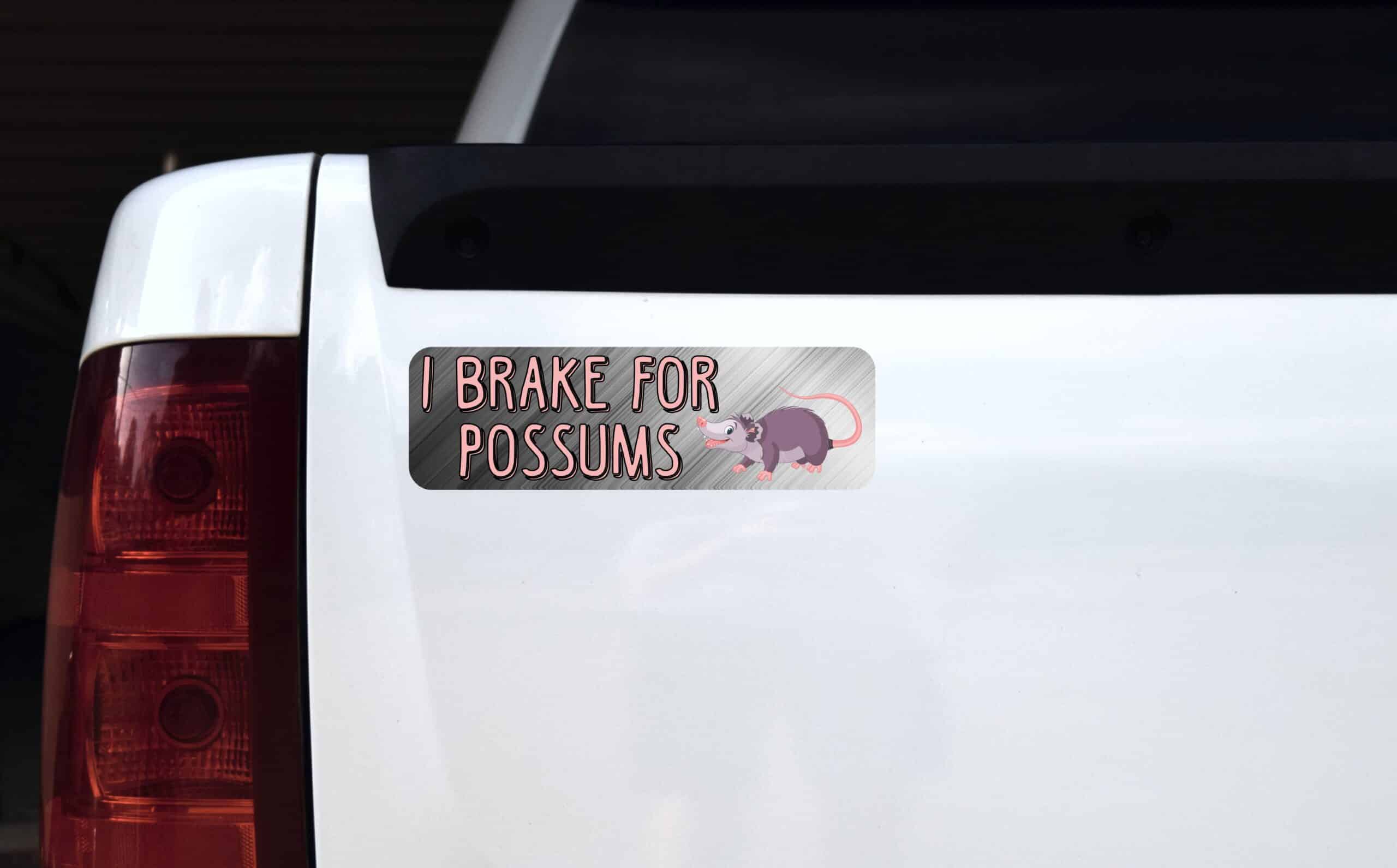 10in x 3in I Brake For Possums Magnet Magnetic Animal Vehicle Bu
